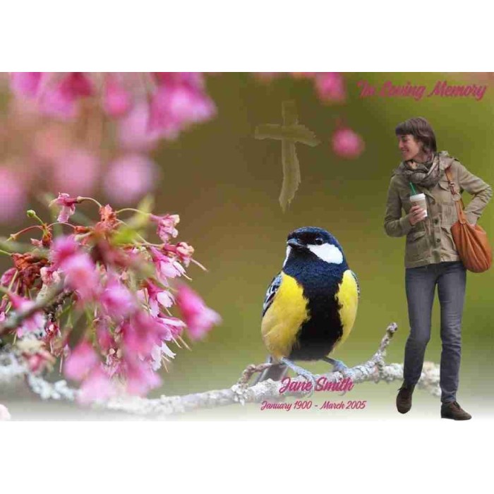 Funeral Booklet |BPP610816