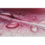 Scodix Business Cards |Scodix screams luxury