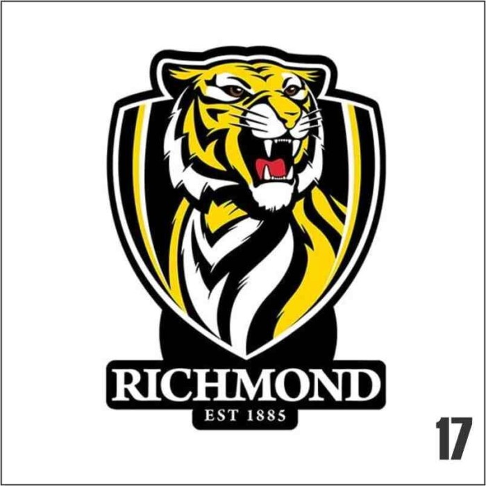 Richmond Tigers Fc |EL Panel