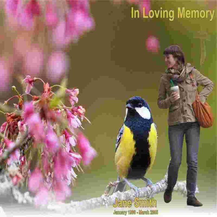 Funeral Booklet | Number:6108016